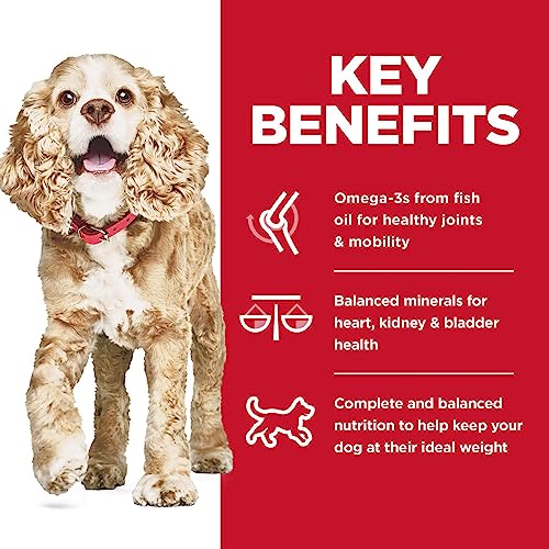 Hill's Science Diet Dry Dog Food, Small Paws