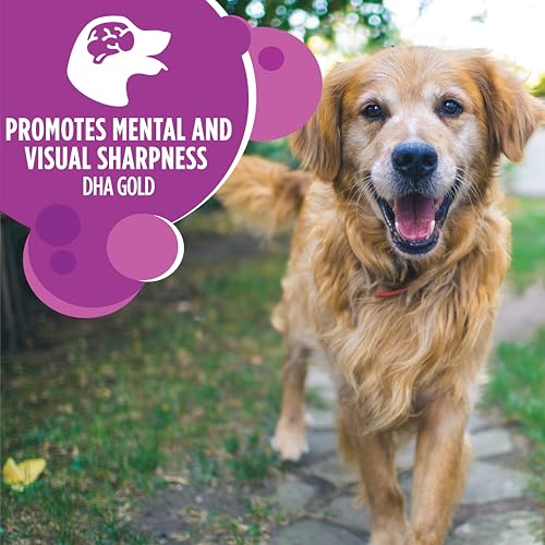 IAMS Healthy Aging Adult Large Breed Dog Food