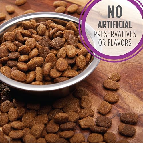 IAMS Healthy Aging Adult Large Breed Dog Food