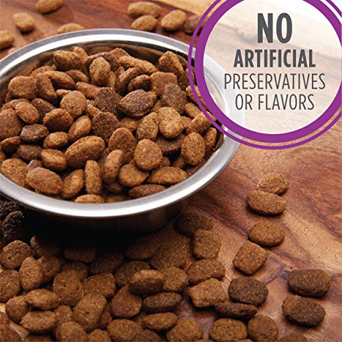 IAMS Healthy Aging Adult Large Breed Dog Food