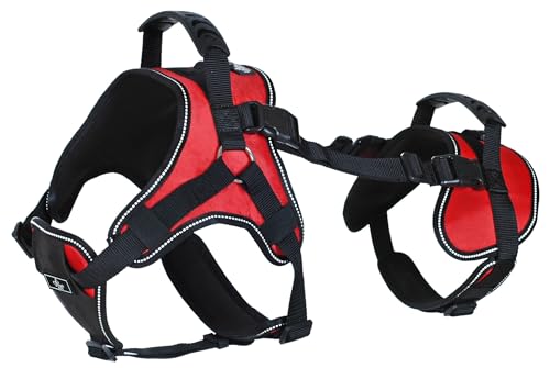 Multi-Functional Dog Harness Vest for Full-Body Lifting