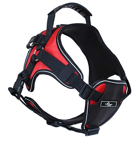 Multi-Functional Dog Harness Vest for Full-Body Lifting