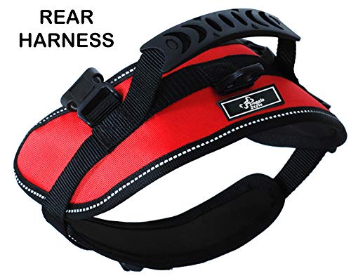 Multi-Functional Dog Harness Vest for Full-Body Lifting