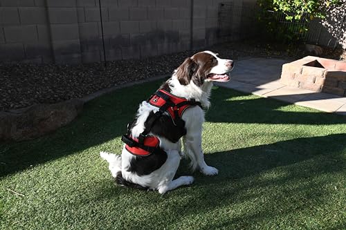 Multi-Functional Dog Harness Vest for Full-Body Lifting