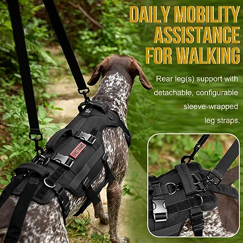 Large Dog Lift Harness with Handles for Hind Legs