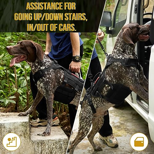 Large Dog Lift Harness with Handles for Hind Legs