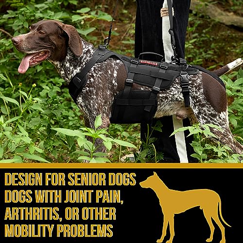 Large Dog Lift Harness with Handles for Hind Legs