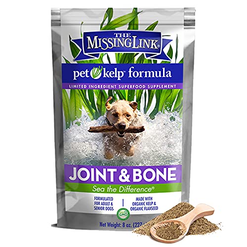 Organic Pet Kelp Superfood Powder for Canine Joints