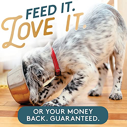 Organic Pet Kelp Superfood Powder for Canine Joints