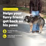 PetSafe CareLift Support Harness - Full Body Dog Lift