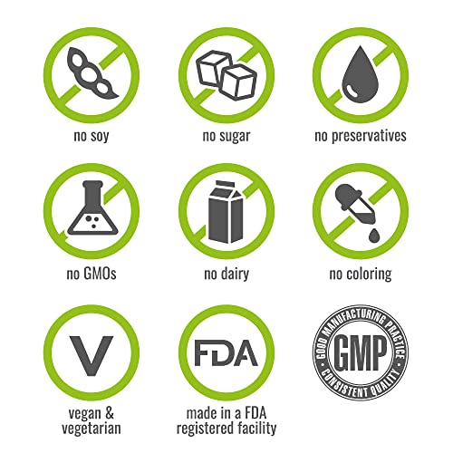 Wild Berry Superfood Powder for Fat Loss