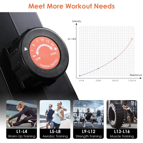 Quiet Home Magnetic Rowing Machine - 350LB Capacity