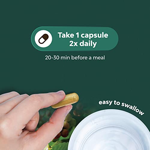 Natural Green Coffee Bean Extract for Fat Loss