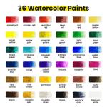 Watercolor Paint Set - 36 Tubes & Brushes