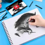 Dyvicl Graphite Charcoal Sticks - Pack of 18