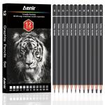 Aenir Sketch Pencils Set of 12 for Artists