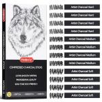 PANDAFLY 12-Piece Compressed Charcoal Stick Set