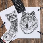 PANDAFLY 12-Piece Compressed Charcoal Stick Set