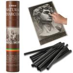 25 PCS Willow Charcoal Sticks for Artists