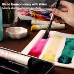 PHOENIX Oil Paint Stick Set - 6 Basic Colors