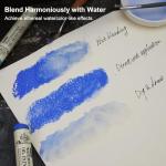 PHOENIX Large Soft Oil Paint Stick Set