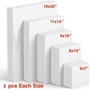 10 Pack Stretched Cotton Artist Canvases