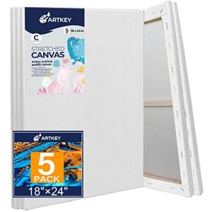 18x24 Inch Stretched Canvas 5-Pack for Painting