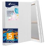 18x24 Inch Stretched Canvas 5-Pack for Painting