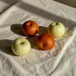 Premium 10oz Natural Cotton Duck Canvas Fabric