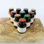 10-Color Fountain Dip Pen Ink Set