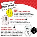 Zebra Comic G Model Chrome Pen Nib Set