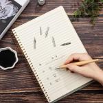 Comic Pen Nib Set with Wooden Holder - 11 Pieces