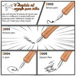 14 Pcs Dip Pen Nibs and Holders Set