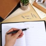 11-Piece Stainless Steel Dip Pen Nibs Set