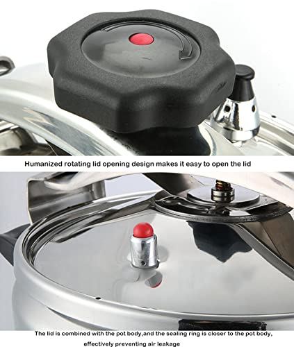 Tstqh 11L Stainless Steel Commercial Pressure Cooker