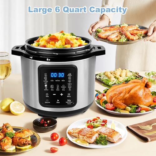 6 Quart Electric Pressure Cooker: 9-in-1 Multi-Cooker