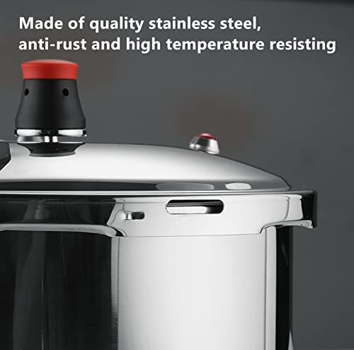 Vividness Stainless Steel Canning Cooker - 7Liter
