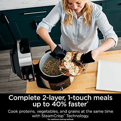 Ninja Foodi 14-in-1 Pressure Cooker Air Fryer