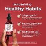 Asian Ginseng Supplement for Vitality and Focus