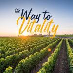 Vitalitown Vitamin D3 K2 Support 90 Softgels