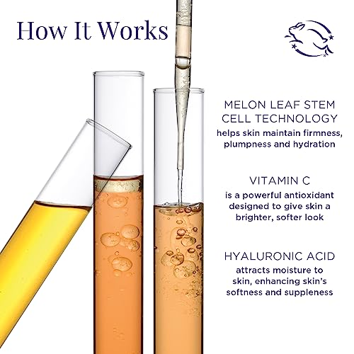 Meaningful Beauty Anti Aging Skincare System