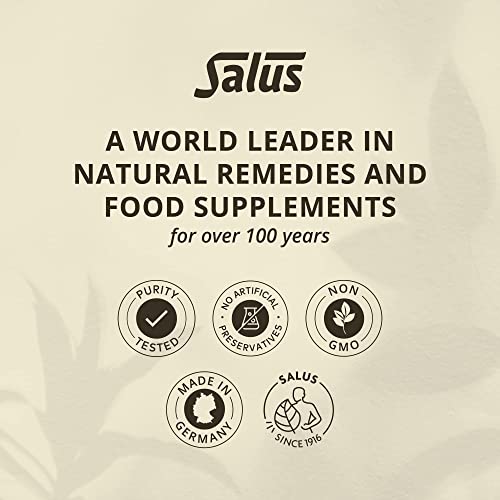 Floradix Vegetarian Iron Liquid Supplement: Energy Support (8 words)