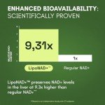 Reus Research NMN Liposomal Supplement - High Purity NAD