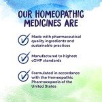 Boiron Histaminum 30C Allergy Relief Pellets - 3 Count