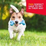 T-Relief Pet Pain Relief Drops for Dogs & Cats