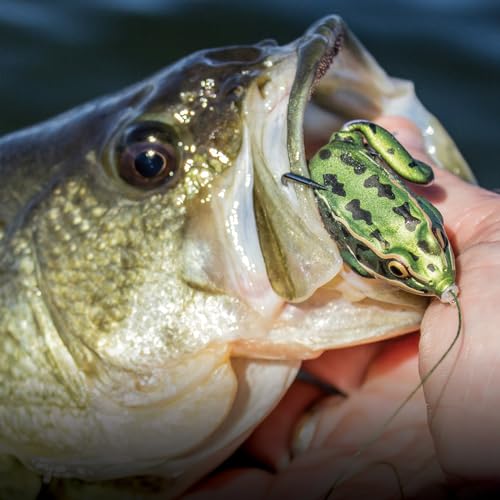 Lunkerhunt Green Tea Lunker Frog Topwater Fishing Lure