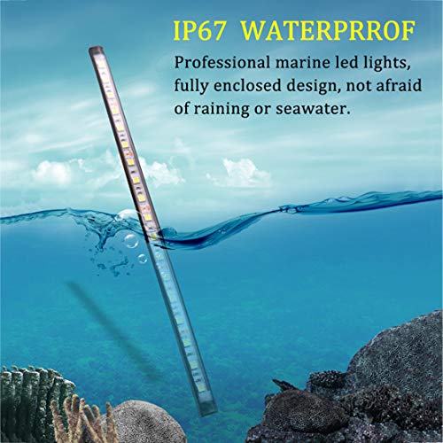 Botepon LED Boat Navigation Lights - Waterproof Deck Lights