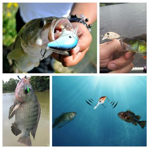 OriGlam 10 Pack 3D Eyes Fishing Lures Kit