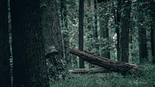 Mossy Oak NWTF Obsession Leafy Bucket Hat Face Mask