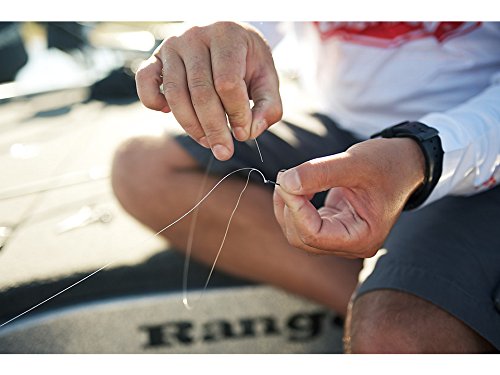 Berkley Trilene® Big Game™, Coastal Brown, 10lb Fishing Line